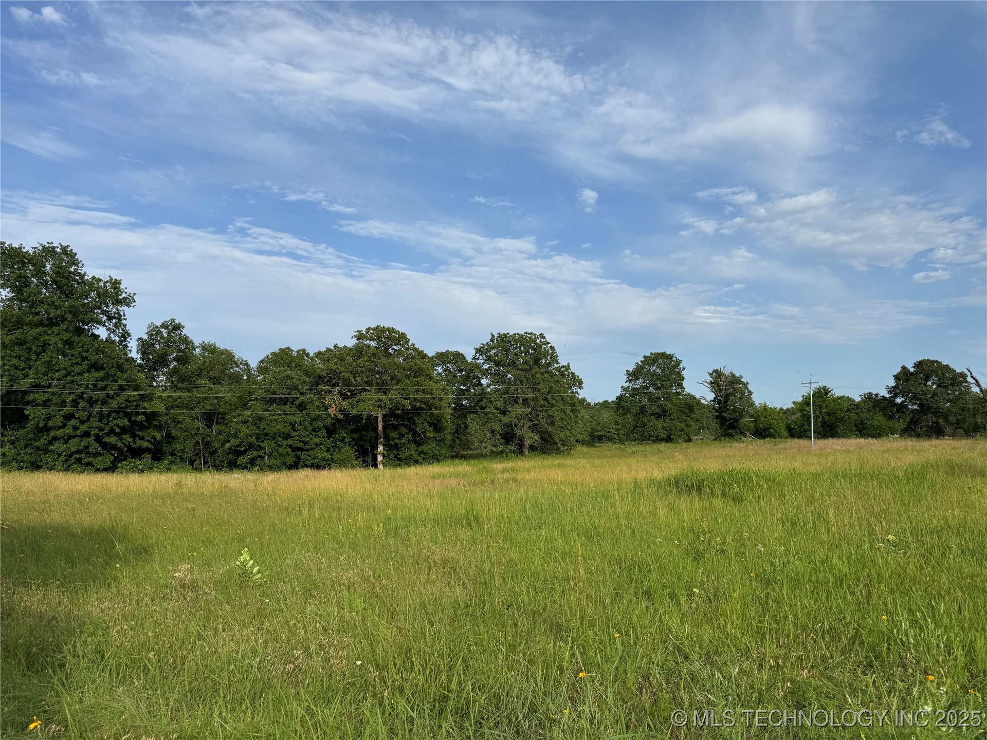 9836 County Road 3647 Loop Property Photo 1