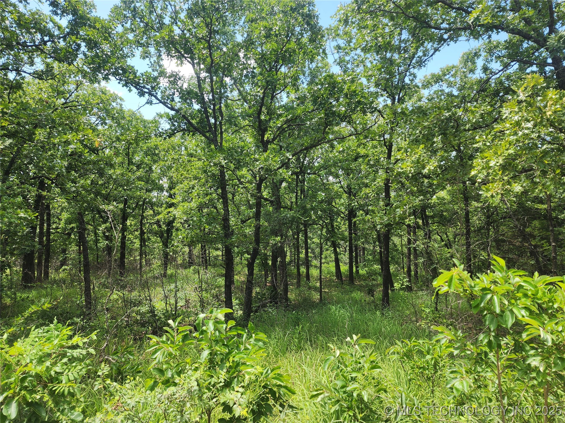 Hickory Lane Property Photo 1