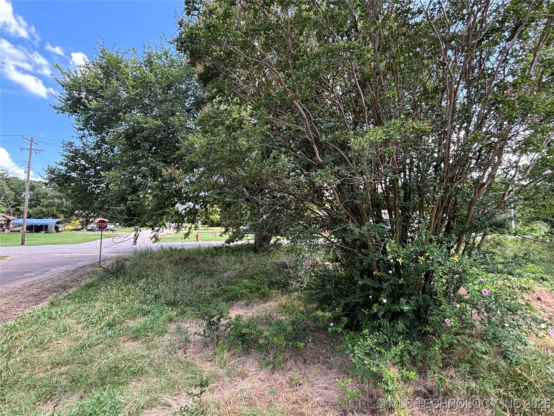 611 E Wolf Property Photo 1