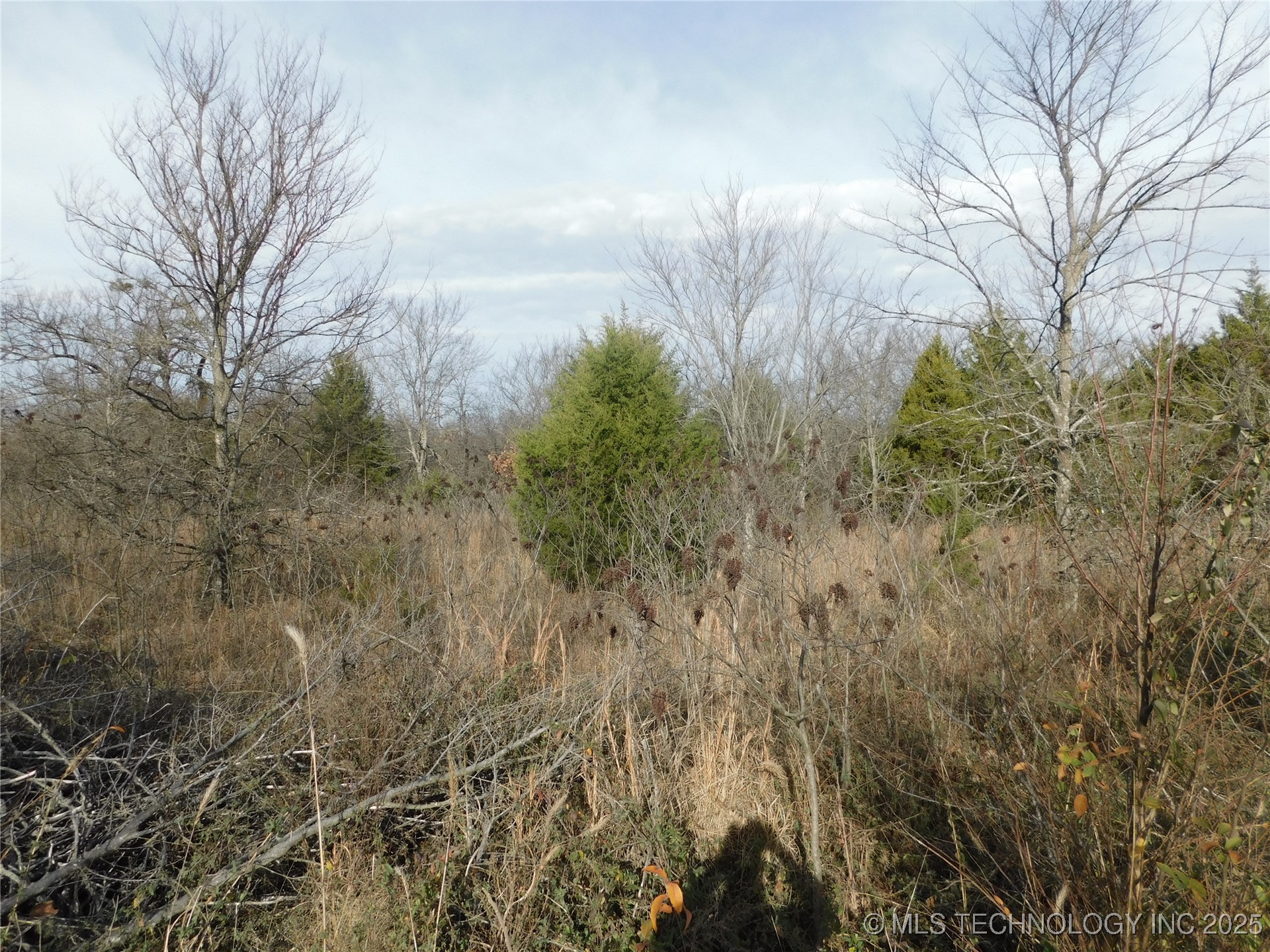 Lilac Drive Property Photo 1