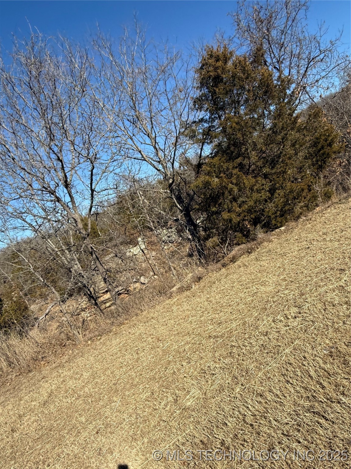 1501 Crestview Drive Property Photo 9