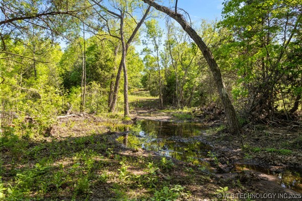 County Road 1520 Property Photo 34