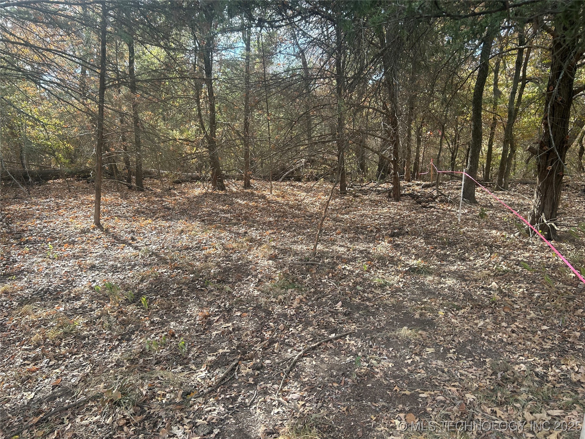Sexton Road Property Photo 11