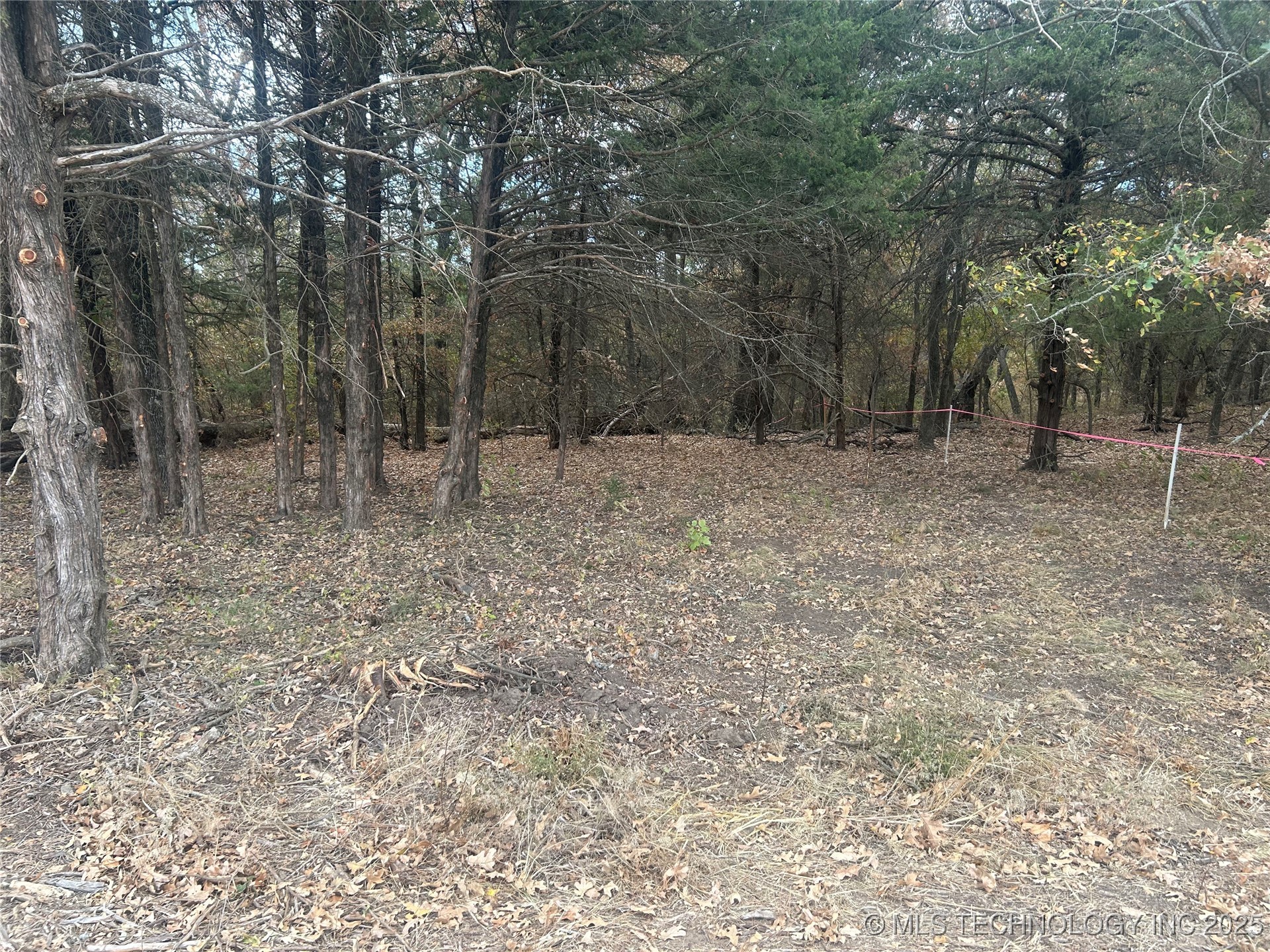 Sexton Road Property Photo 12