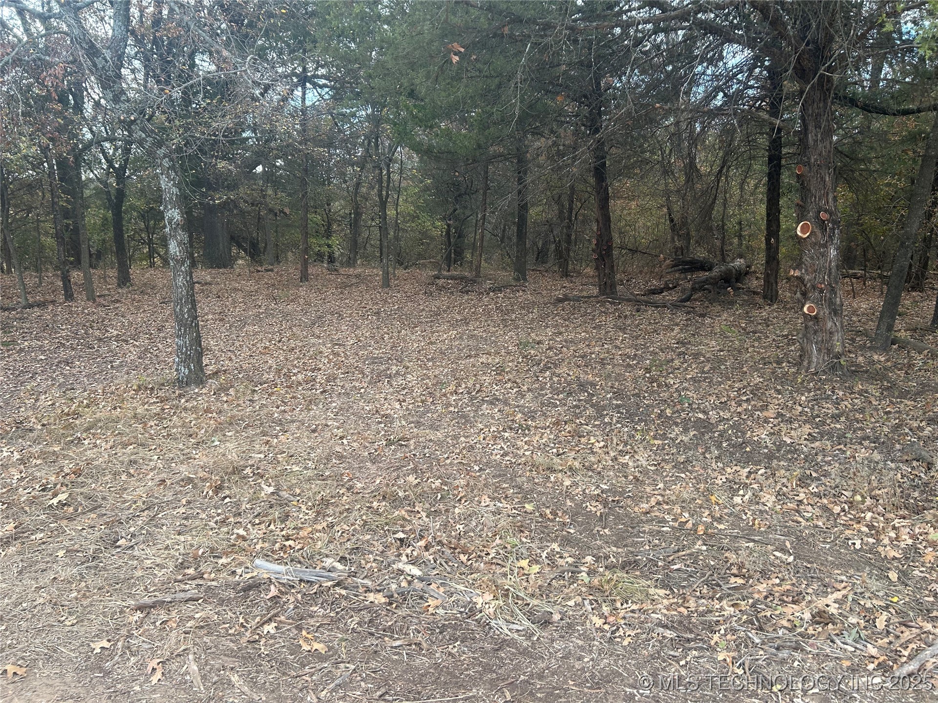 Sexton Road Property Photo 13