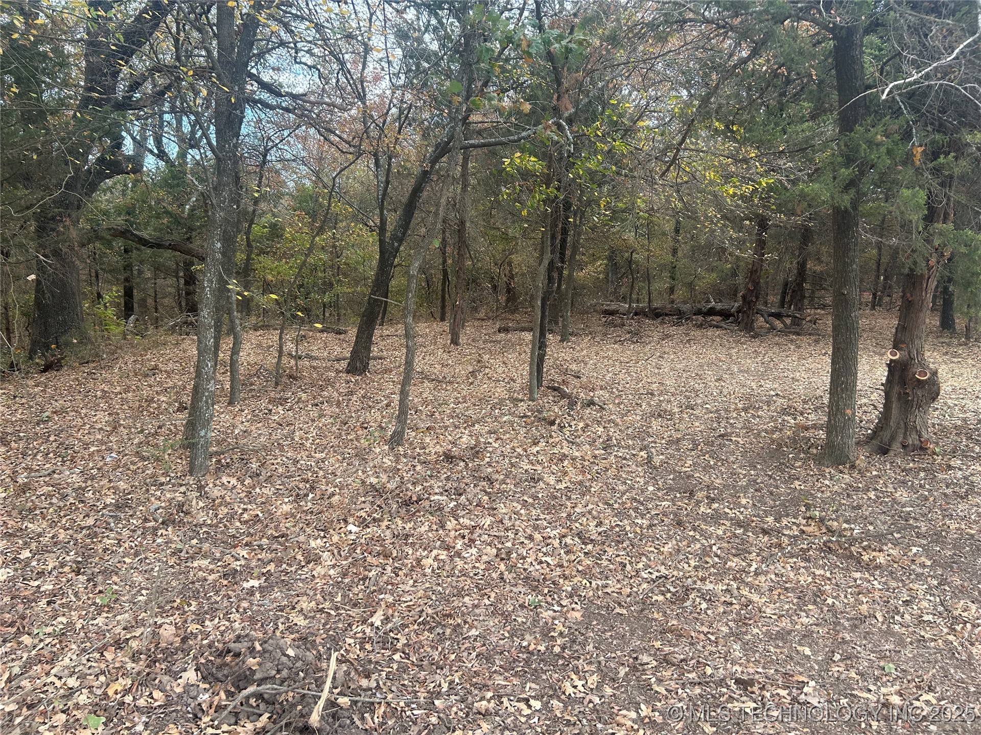 Sexton Road Property Photo 14