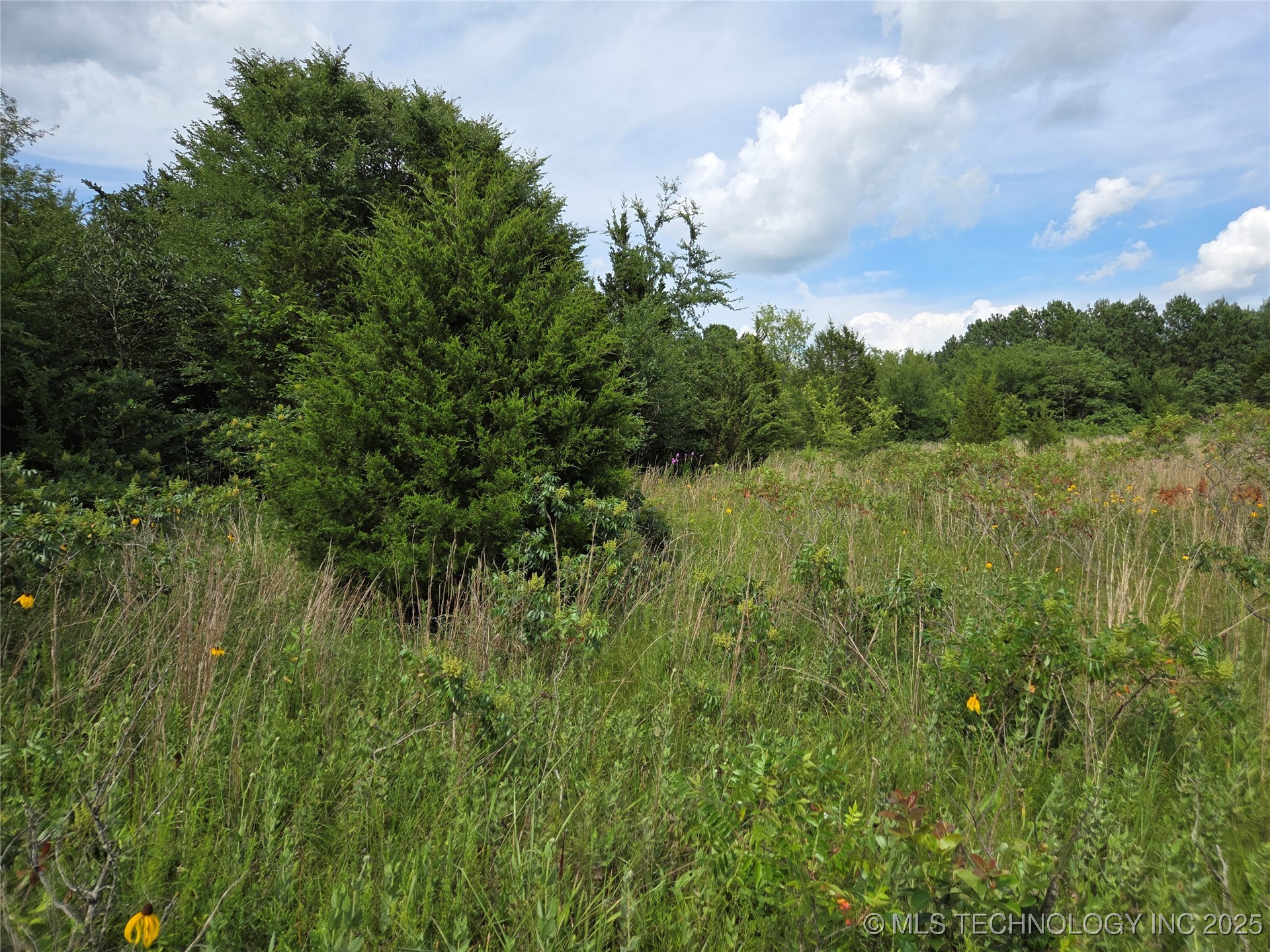 221st East Ave Avenue Property Photo 3