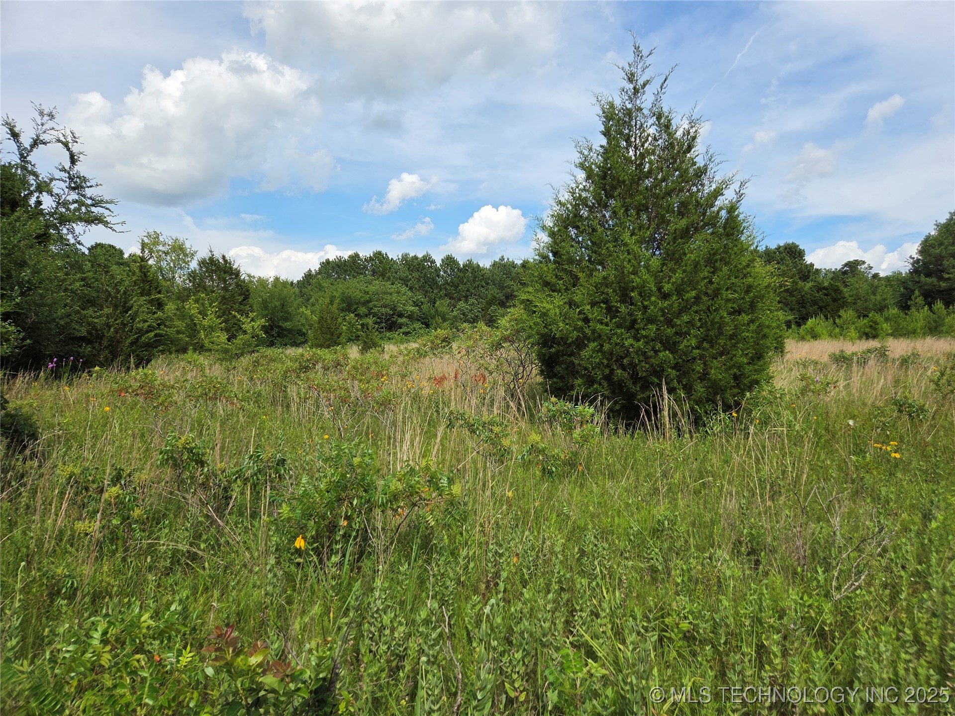 221st East Ave Avenue Property Photo 4