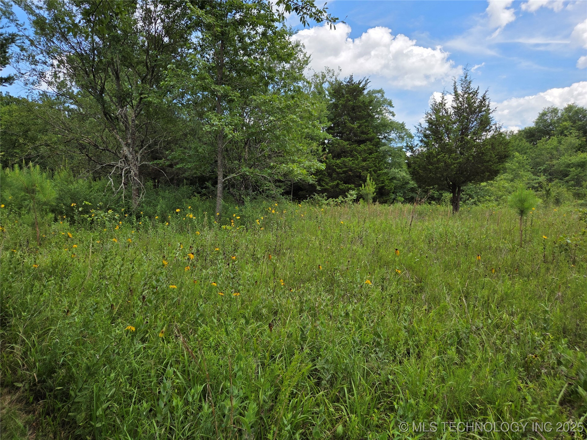 221st East Ave Avenue Property Photo 8