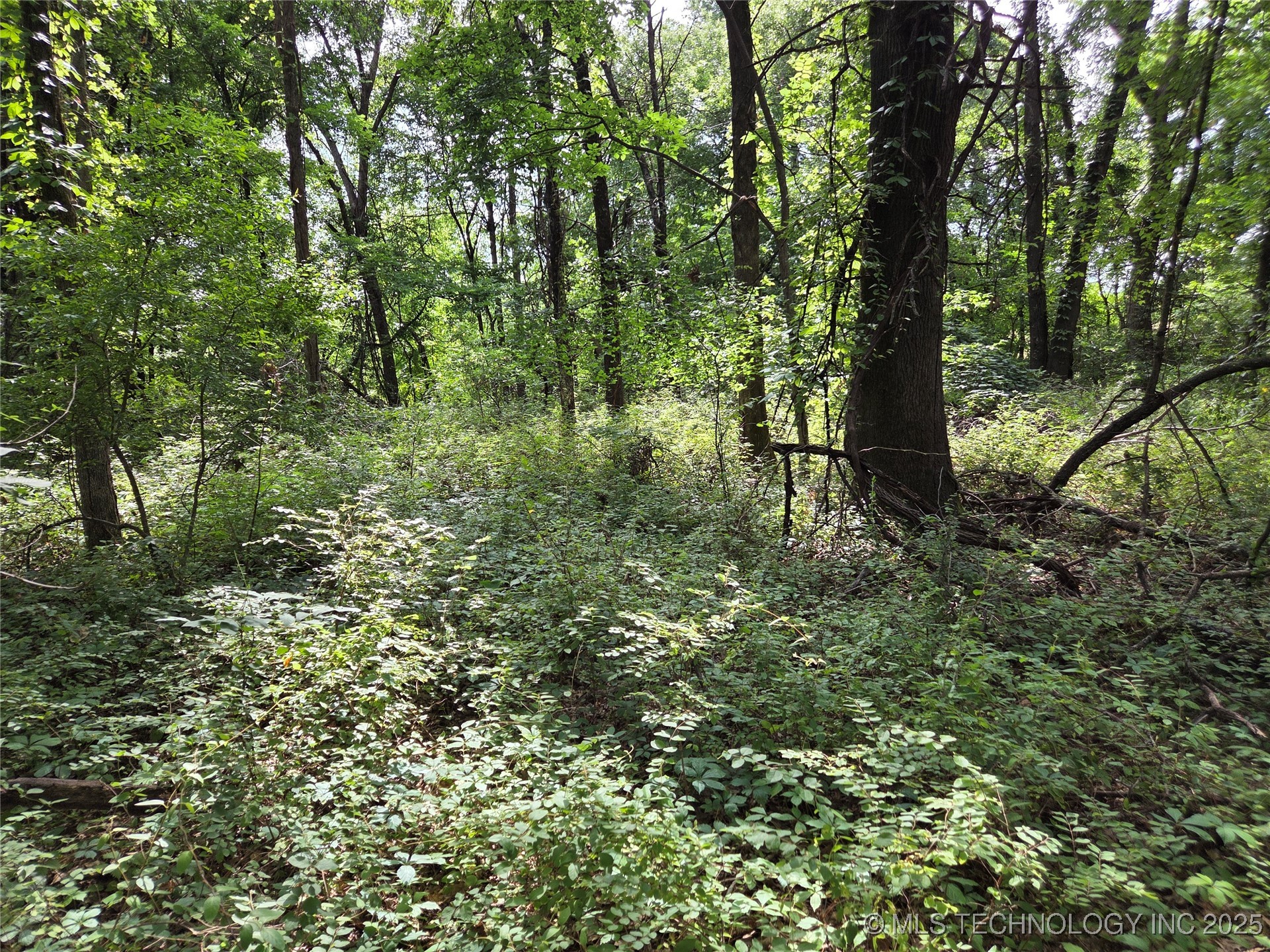 221st East Ave Avenue Property Photo 11