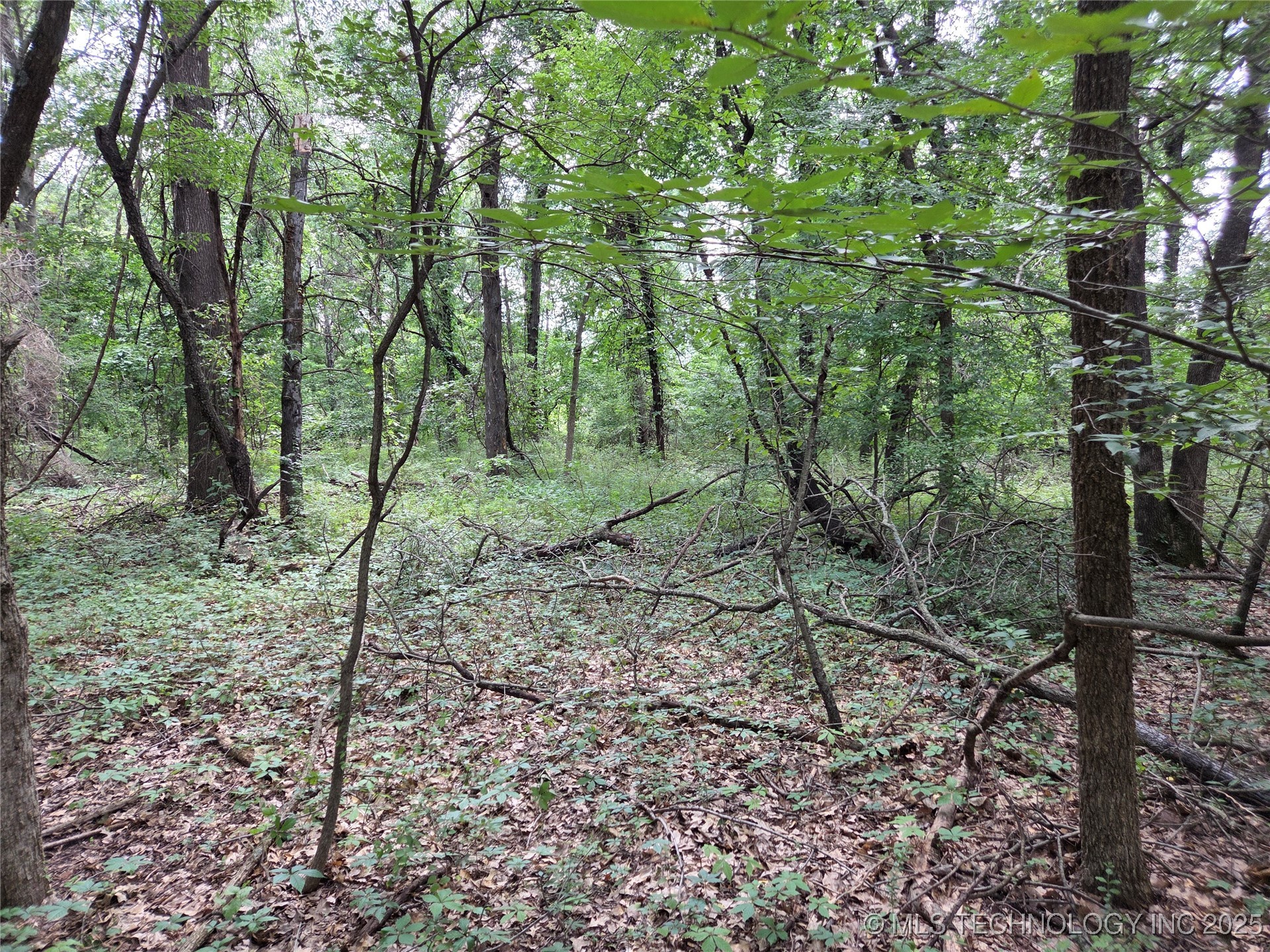 221st East Ave Avenue Property Photo 12