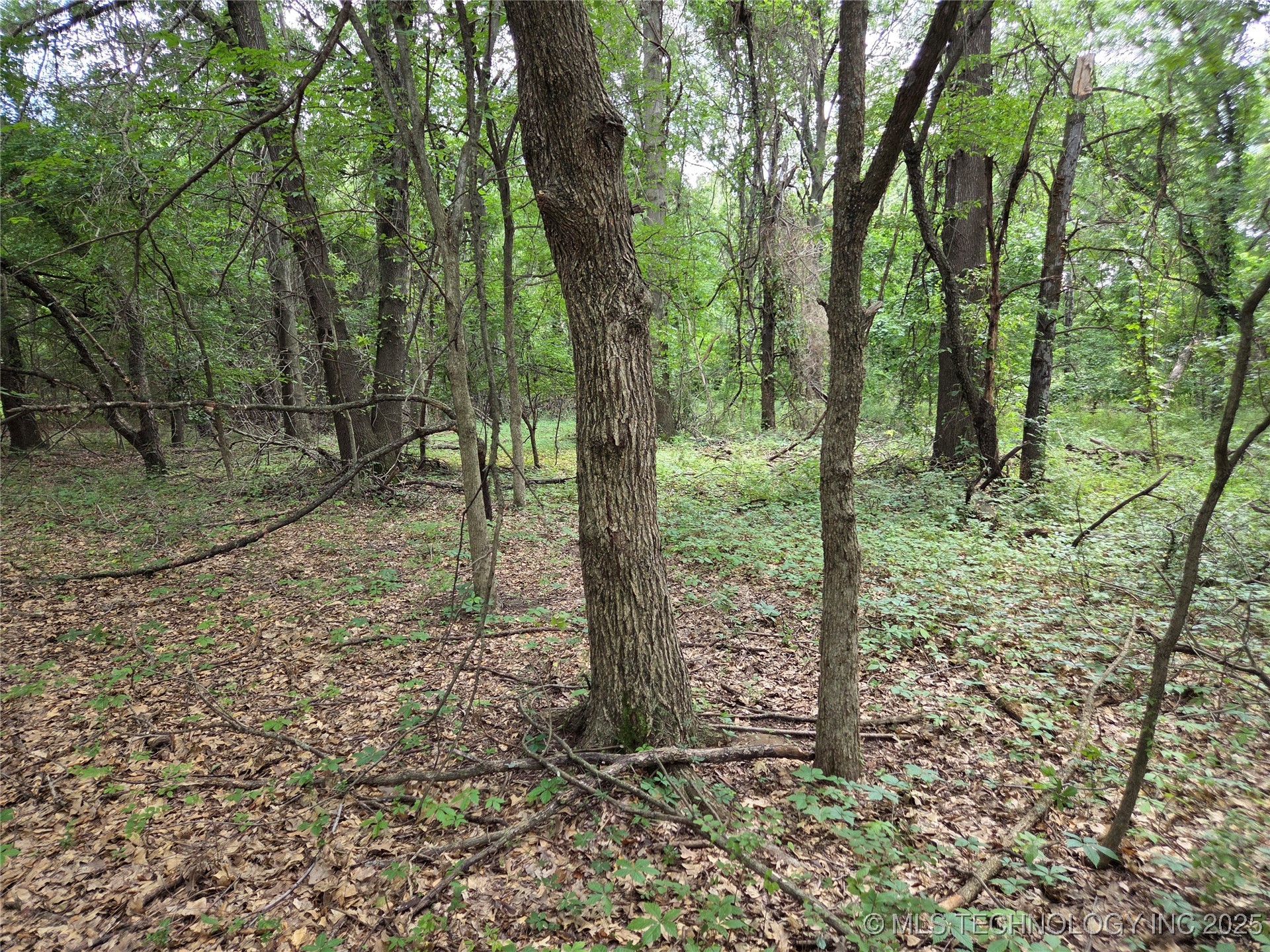 221st East Ave Avenue Property Photo 13