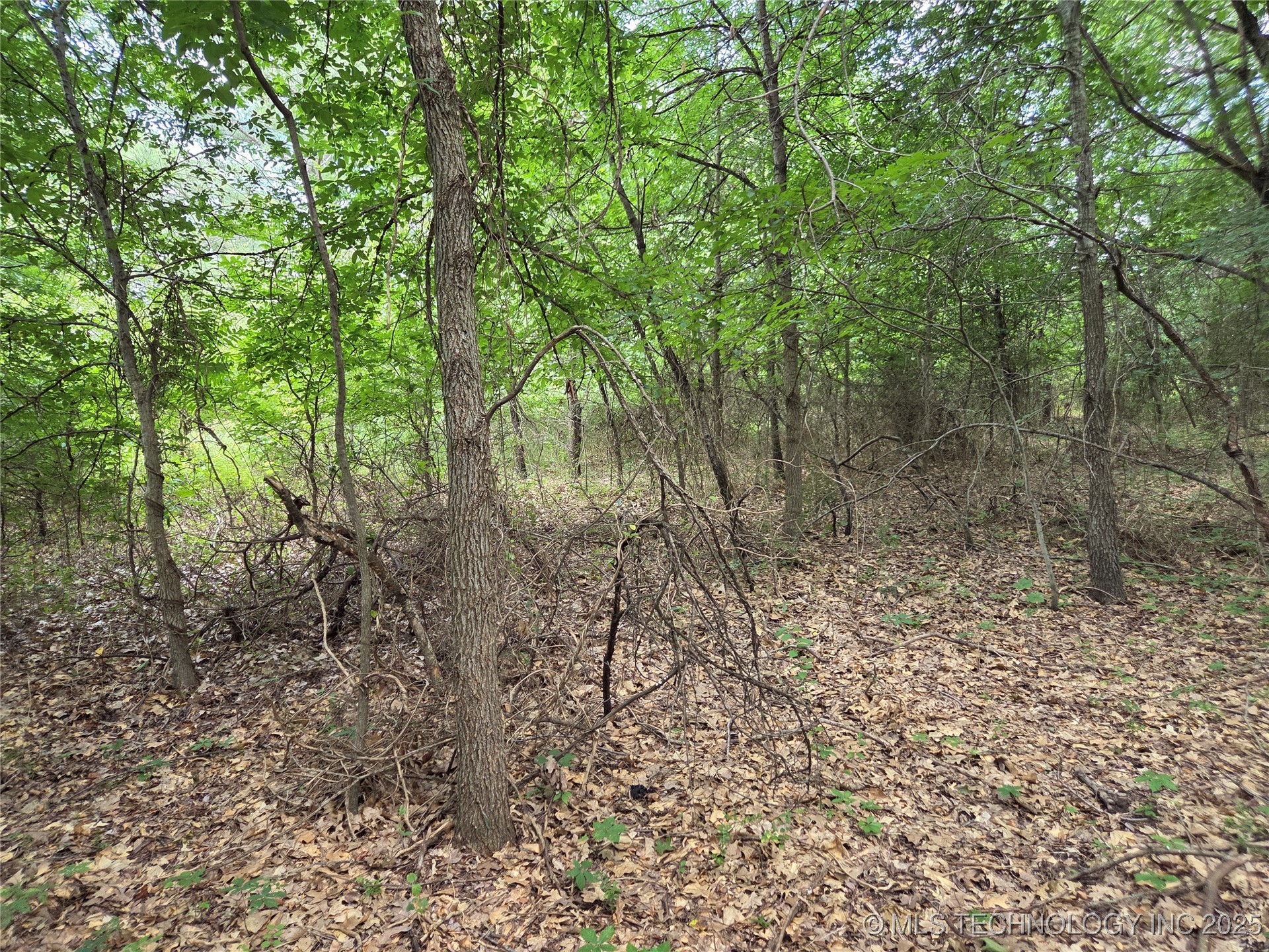 221st East Ave Avenue Property Photo 15