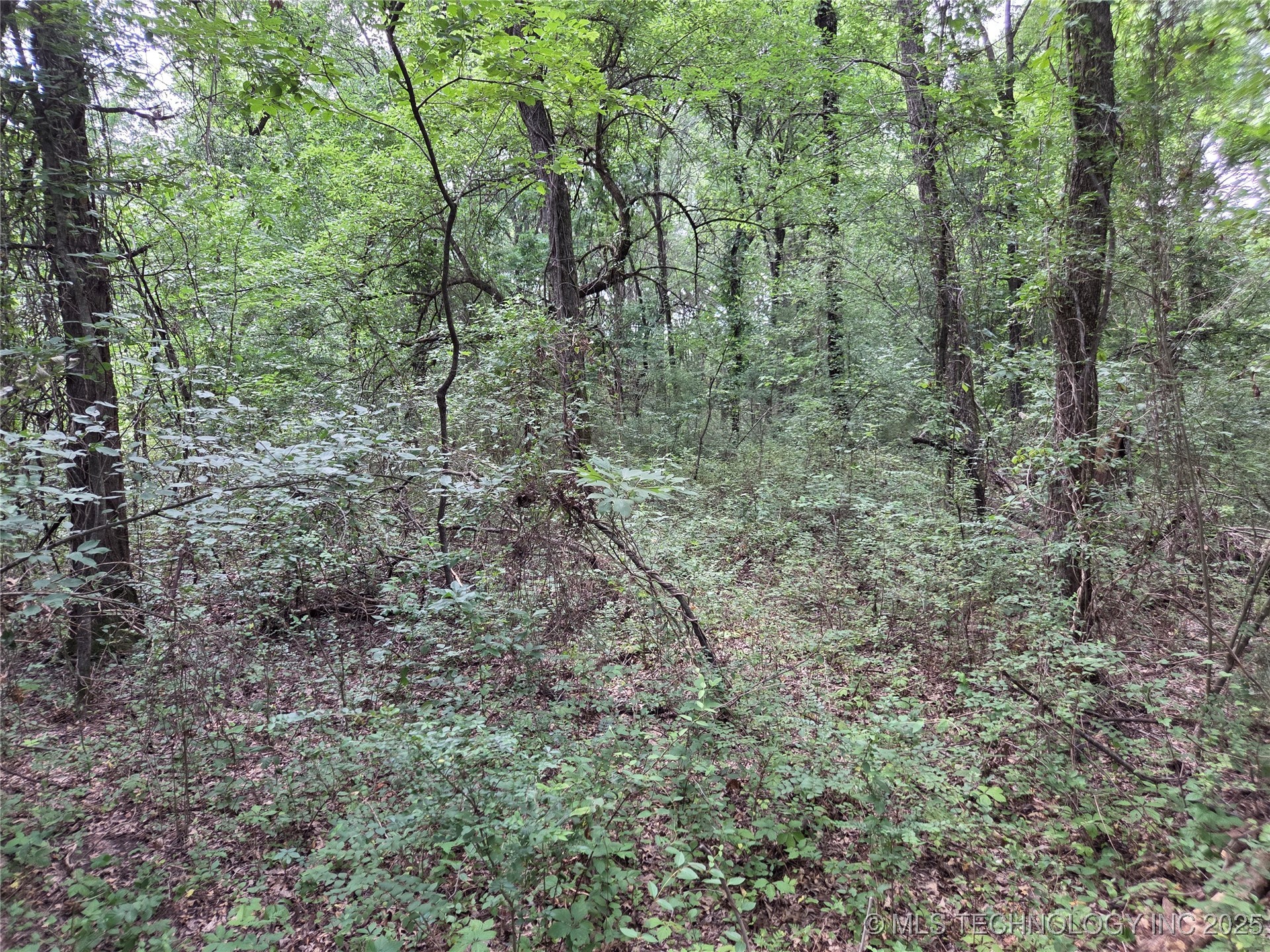 221st East Ave Avenue Property Photo 17