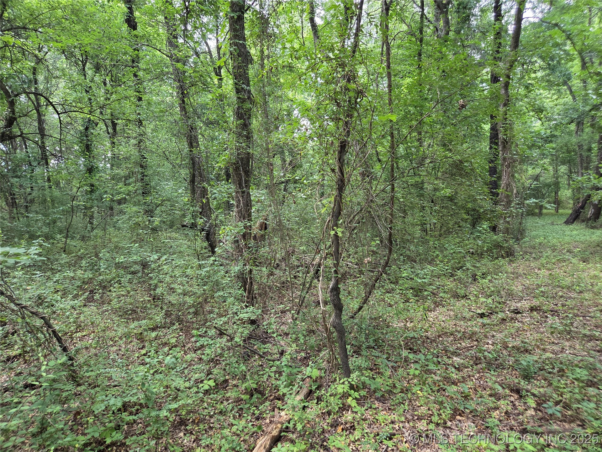 221st East Ave Avenue Property Photo 18