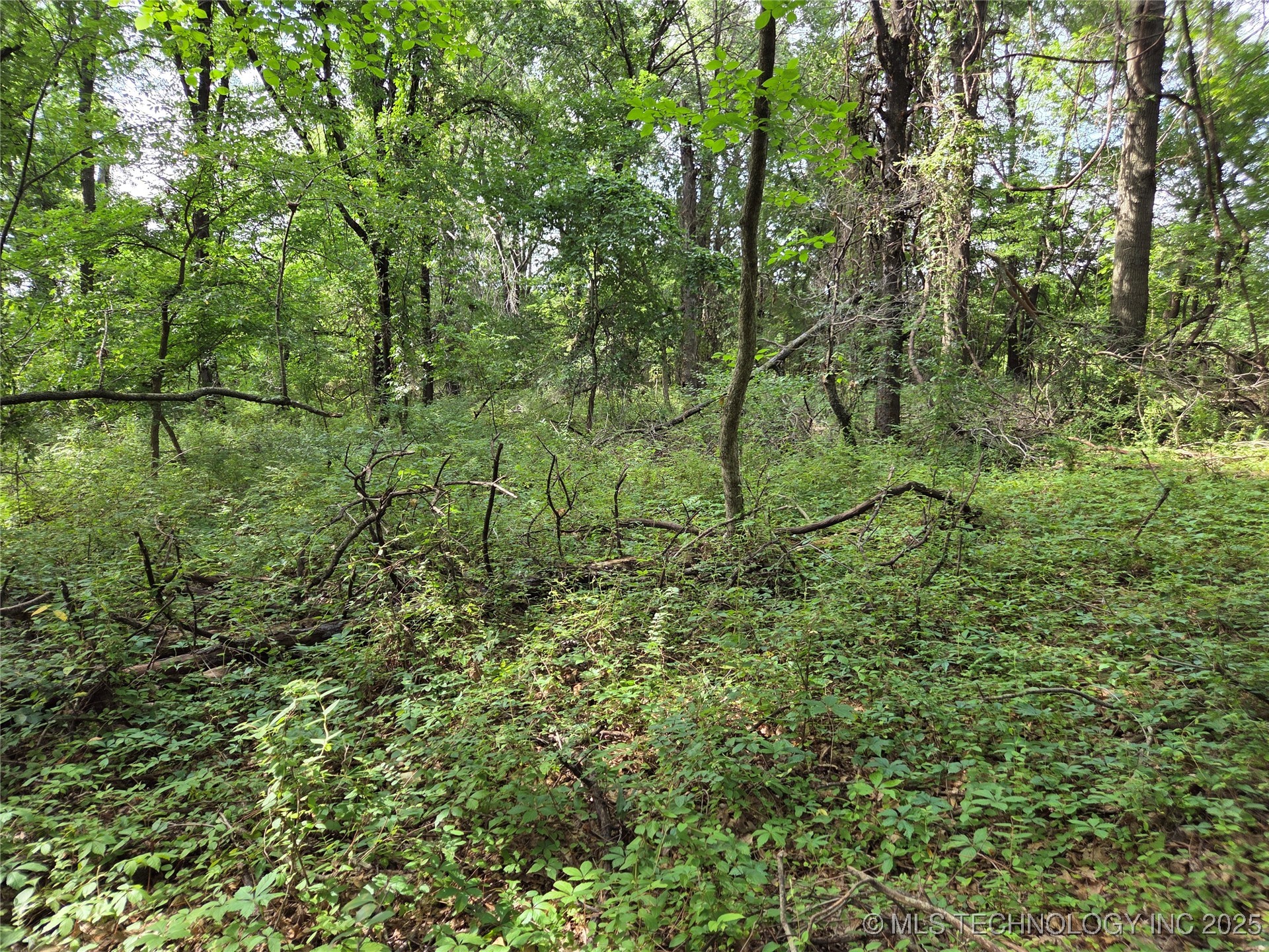 221st East Ave Avenue Property Photo 19