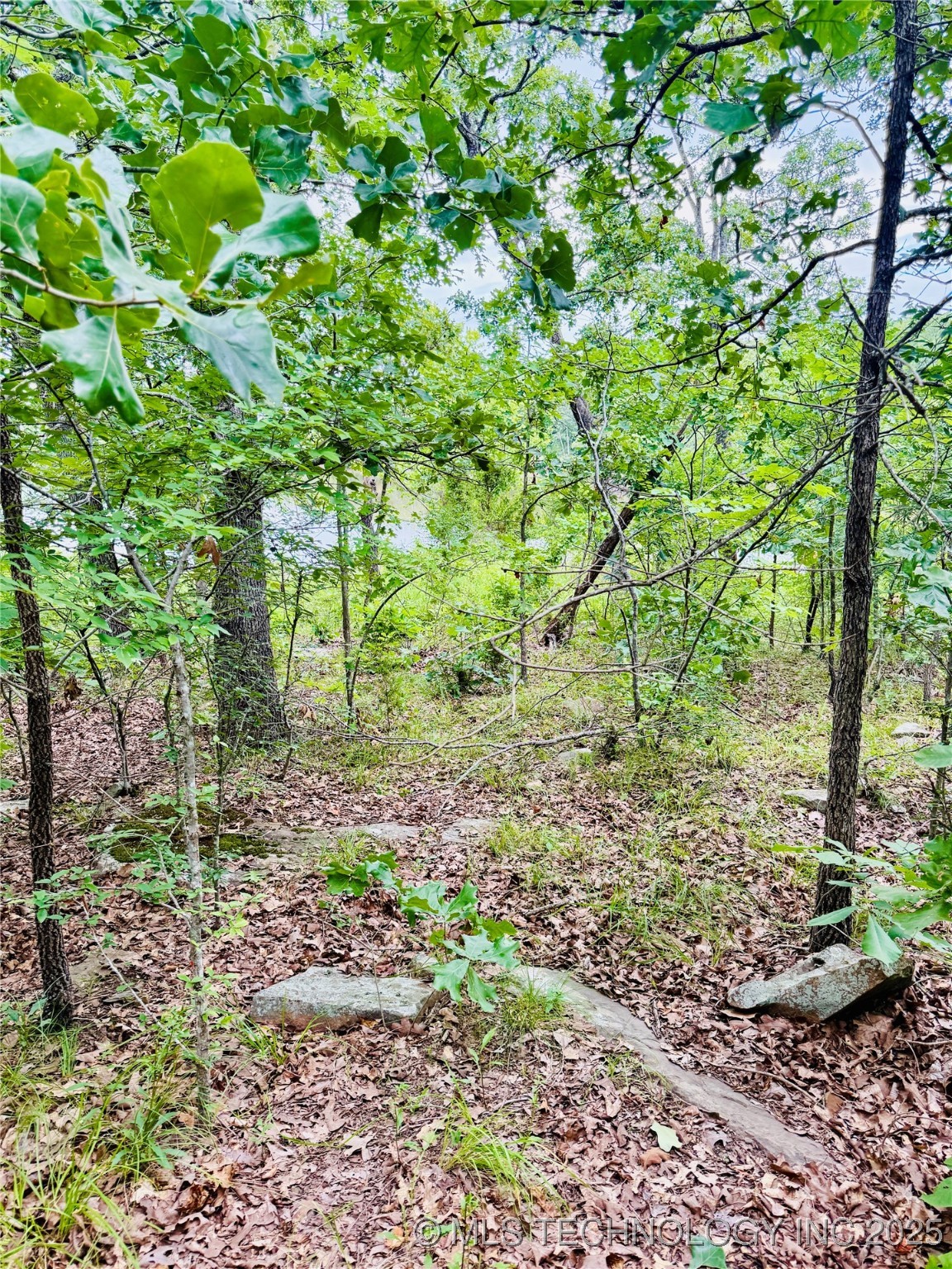 0 Falcon Lane Property Photo 17