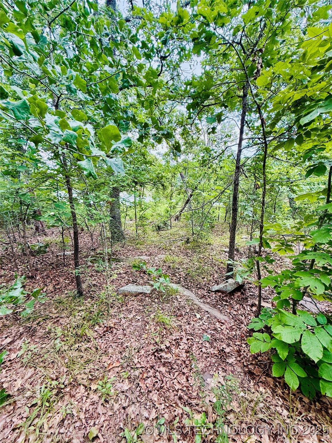0 Falcon Lane Property Photo 18