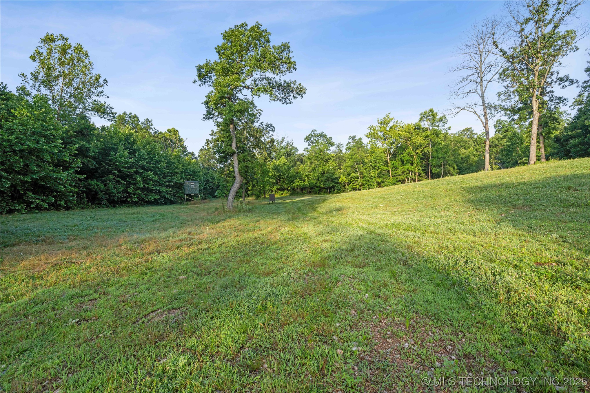 27501 S 705 Road Property Photo 38