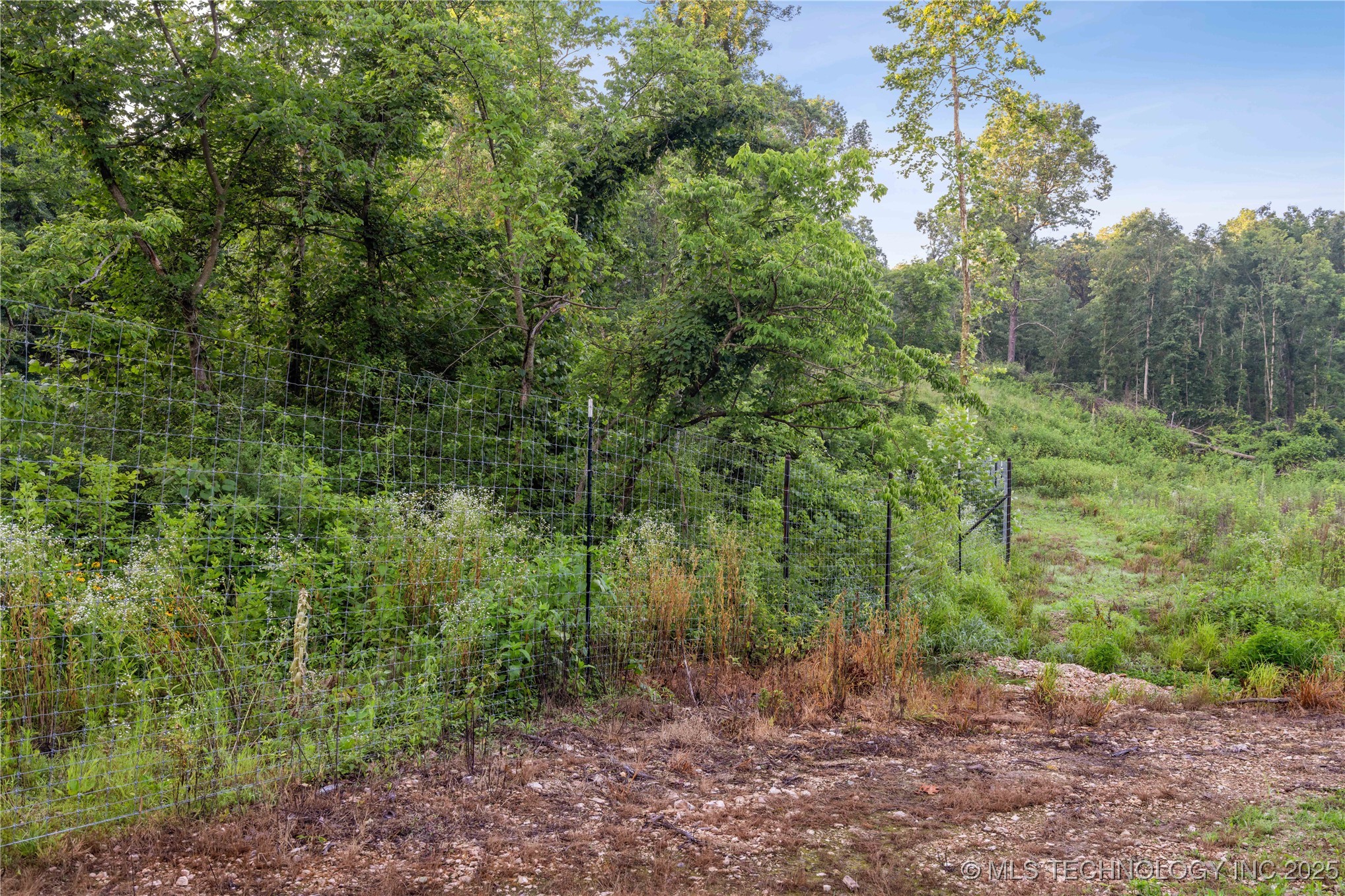 27501 S 705 Road Property Photo 54