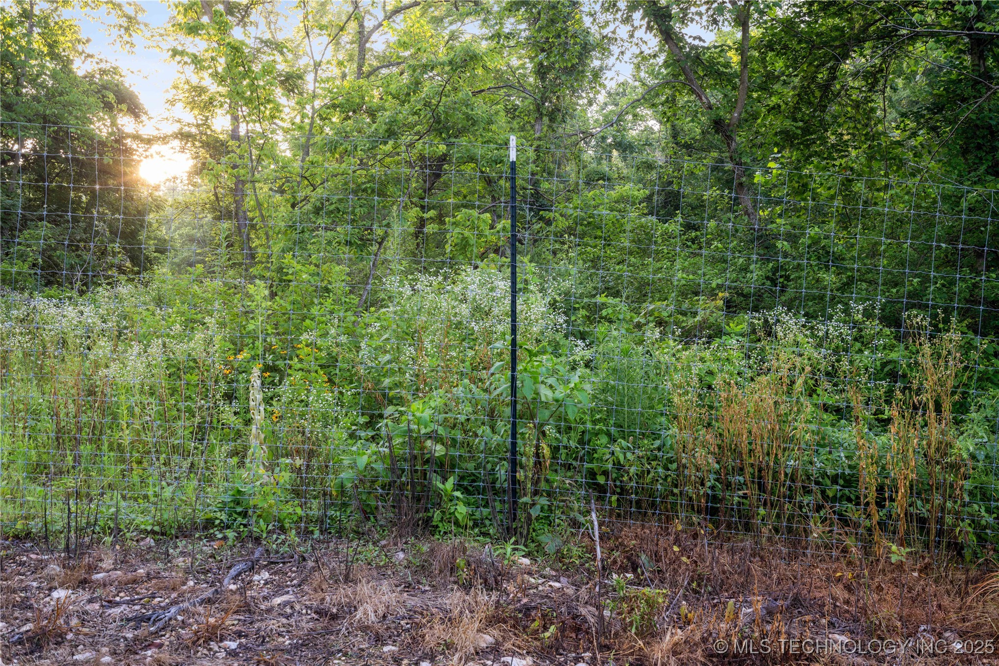 27501 S 705 Road Property Photo 55