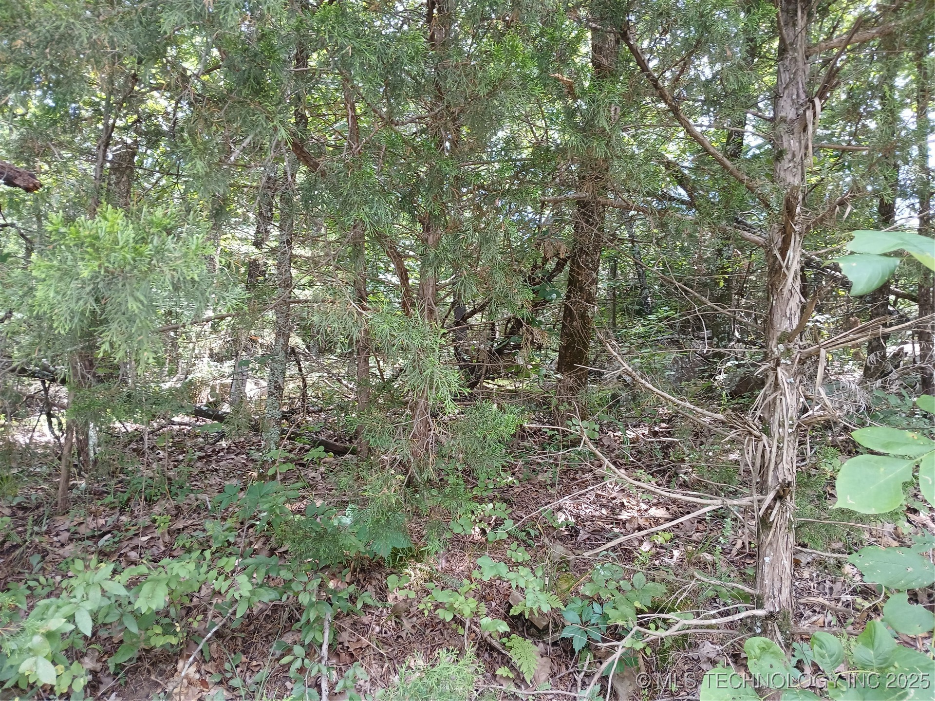 Finch Property Photo 1
