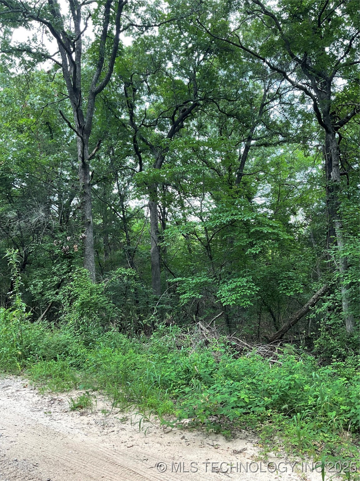 7 Homestead Property Photo 1