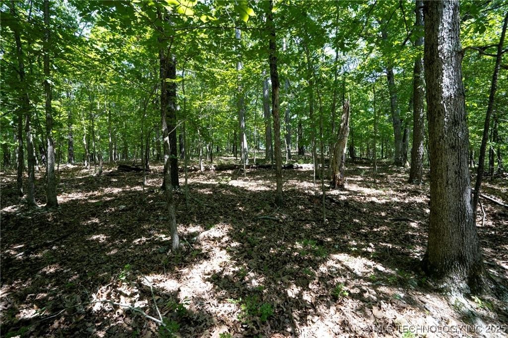 1103 Brown Bear Trail Property Photo 1