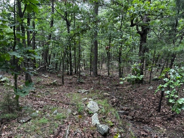 W Boggy Mountain Road Property Photo 1