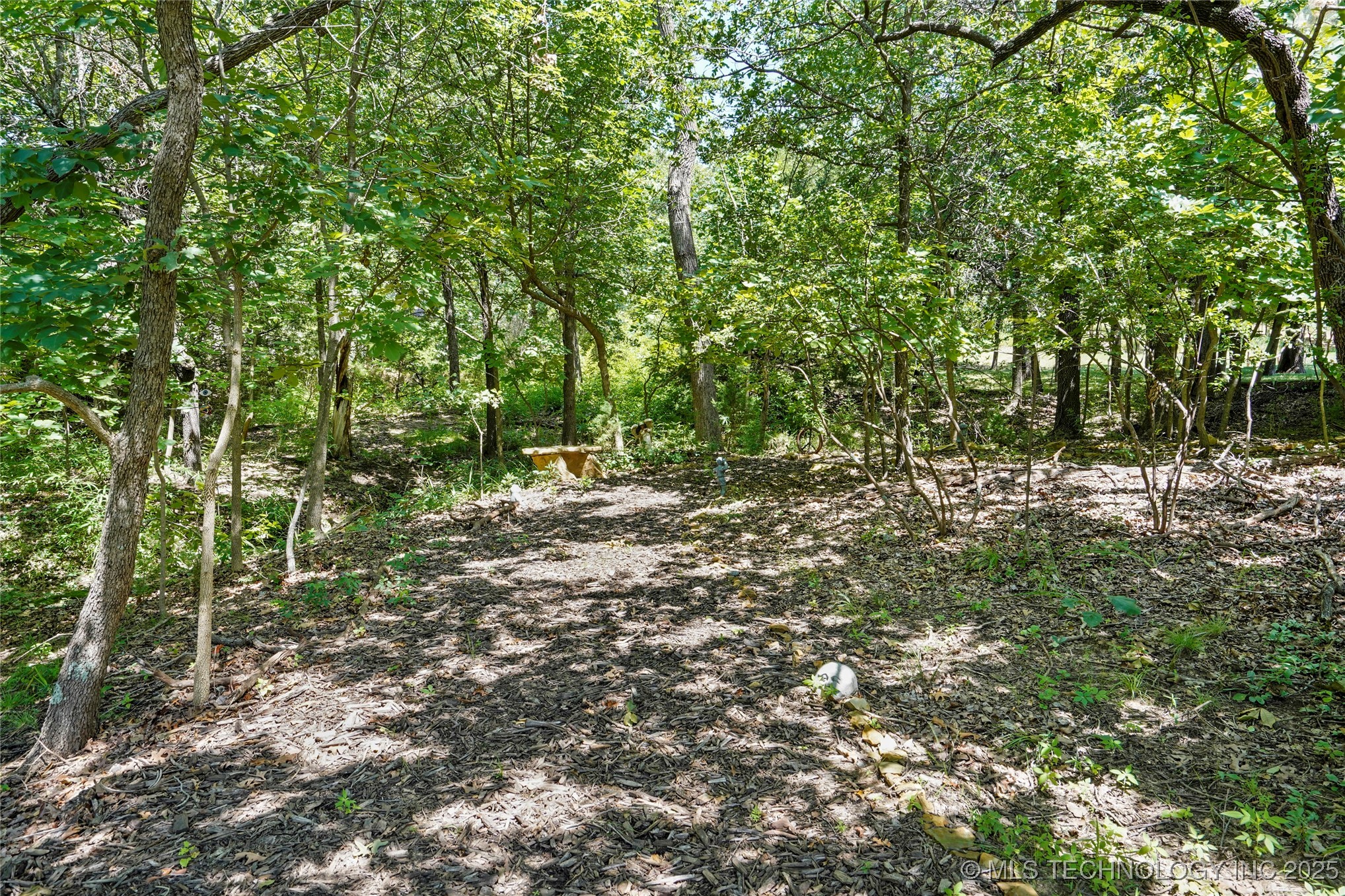 1702 Old North Place Property Photo 44