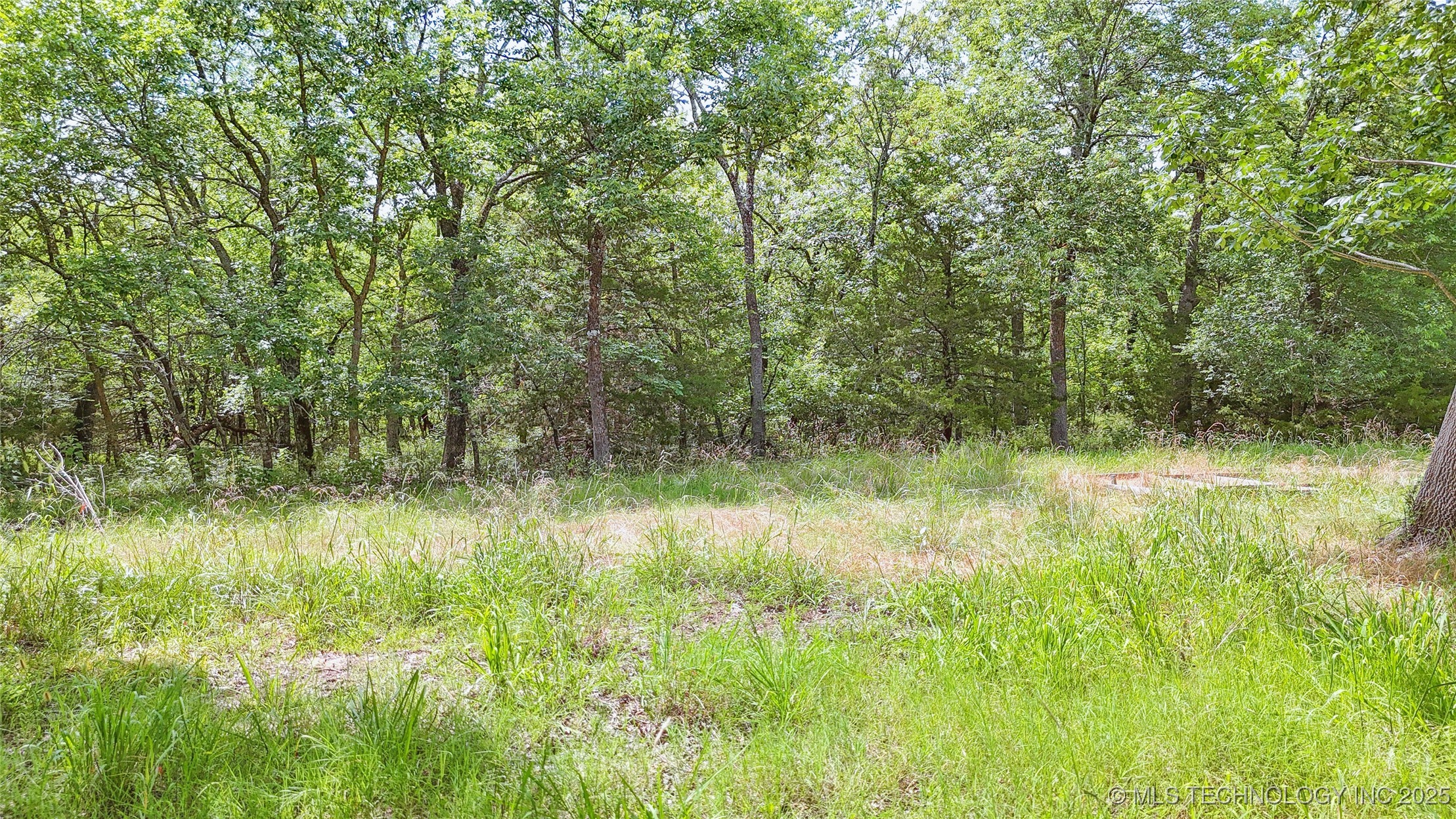 17290 County Road 3548 Property Photo 66