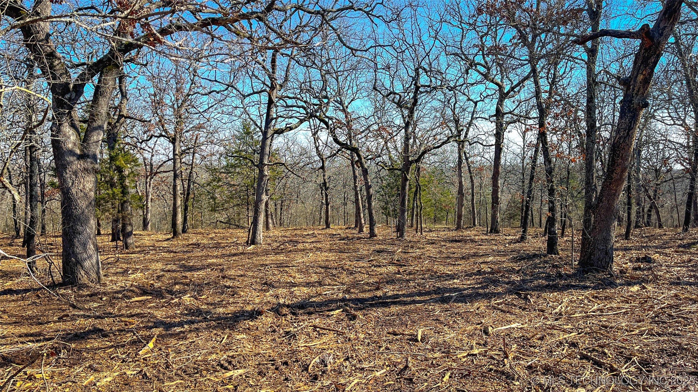 0 County Road 3630 Property Photo 3