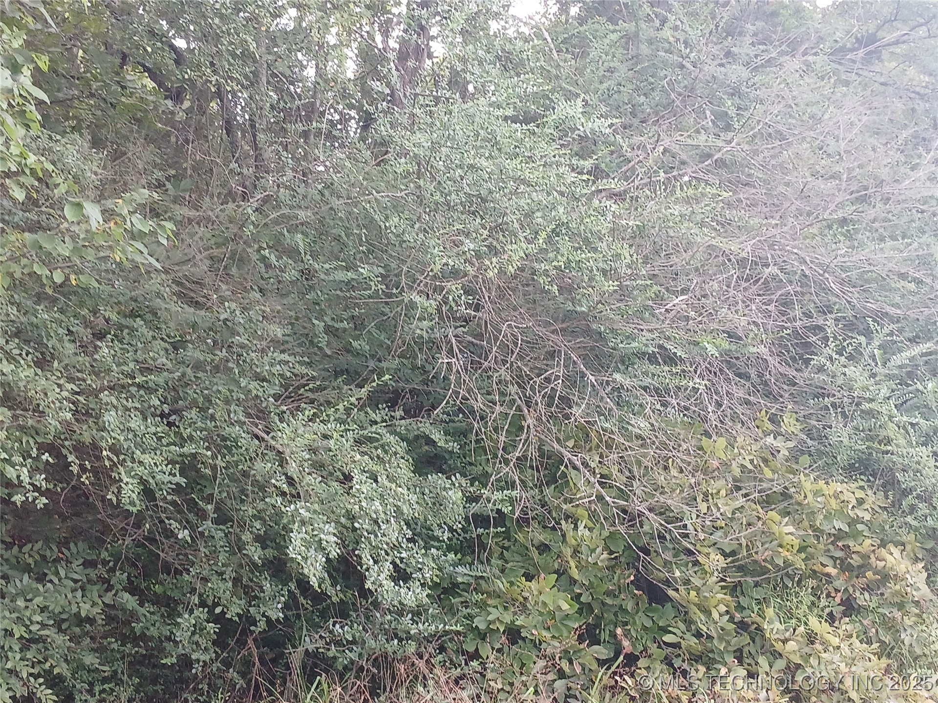 Ranch Trail Road Property Photo 1