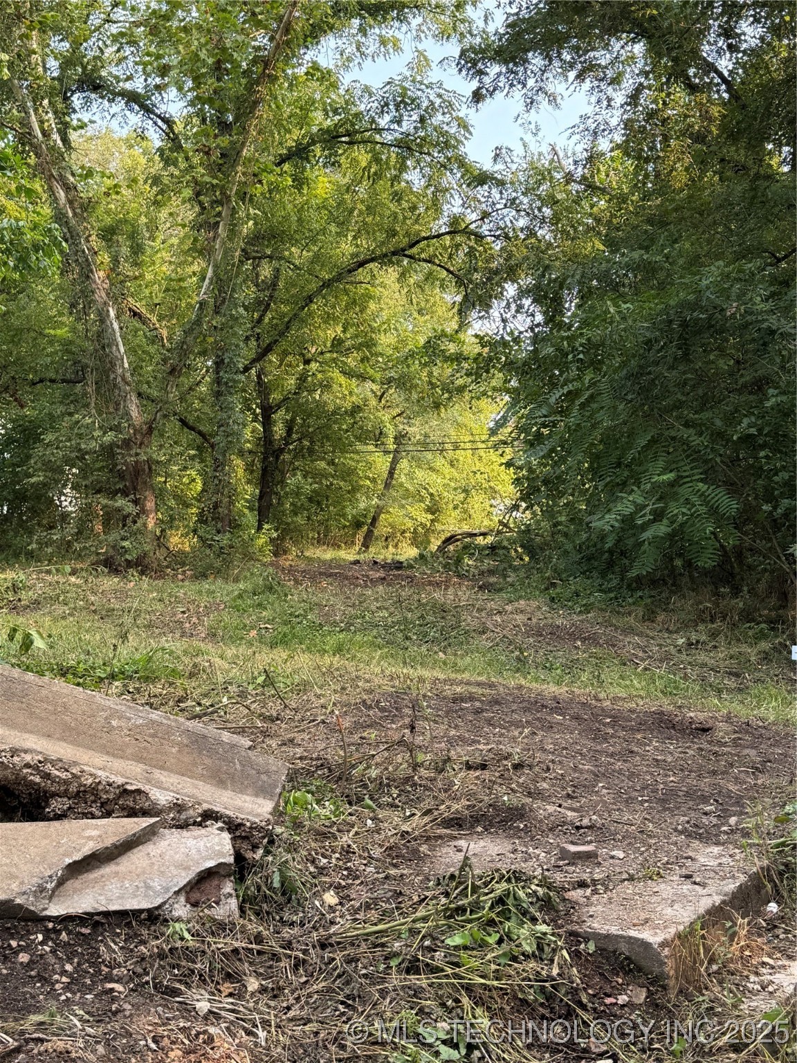 Spring Property Photo 5