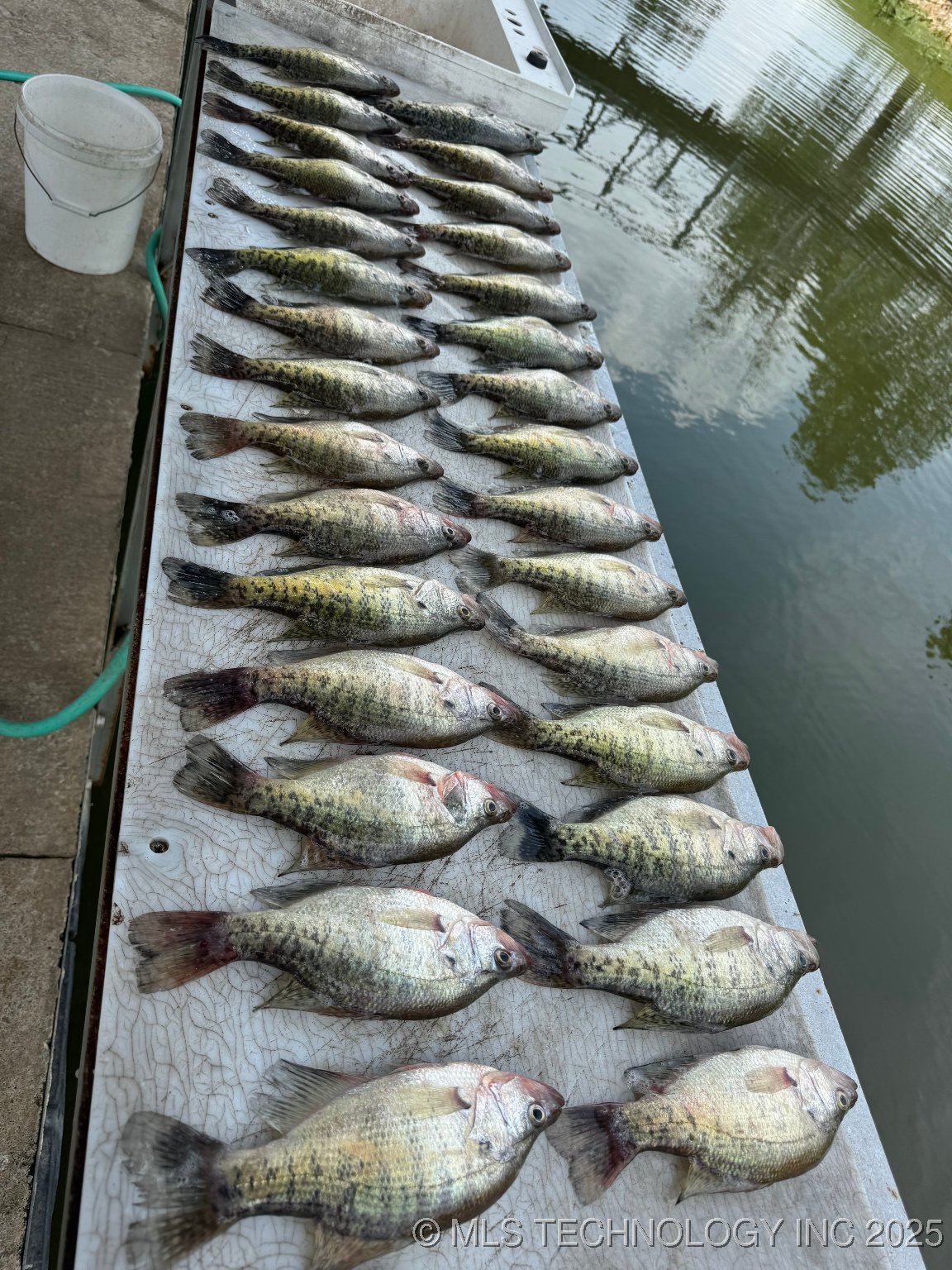 452711 Preakness Drive Property Photo 43