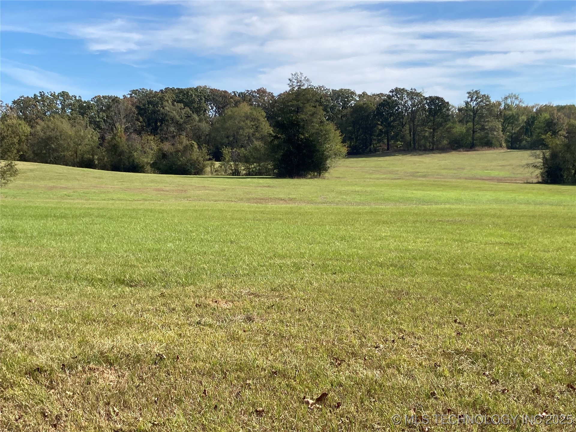 901 Sycamore Loop