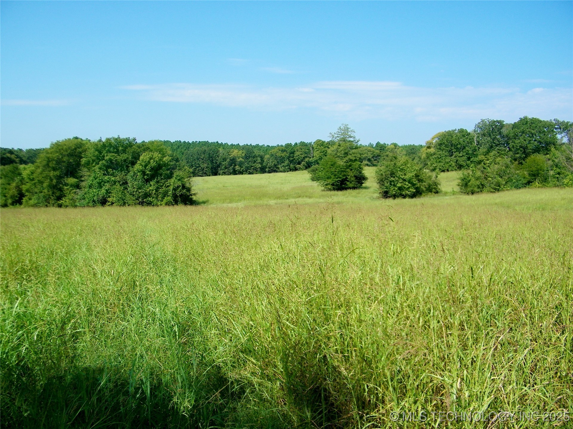 901 Sycamore Loop Property Photo 17