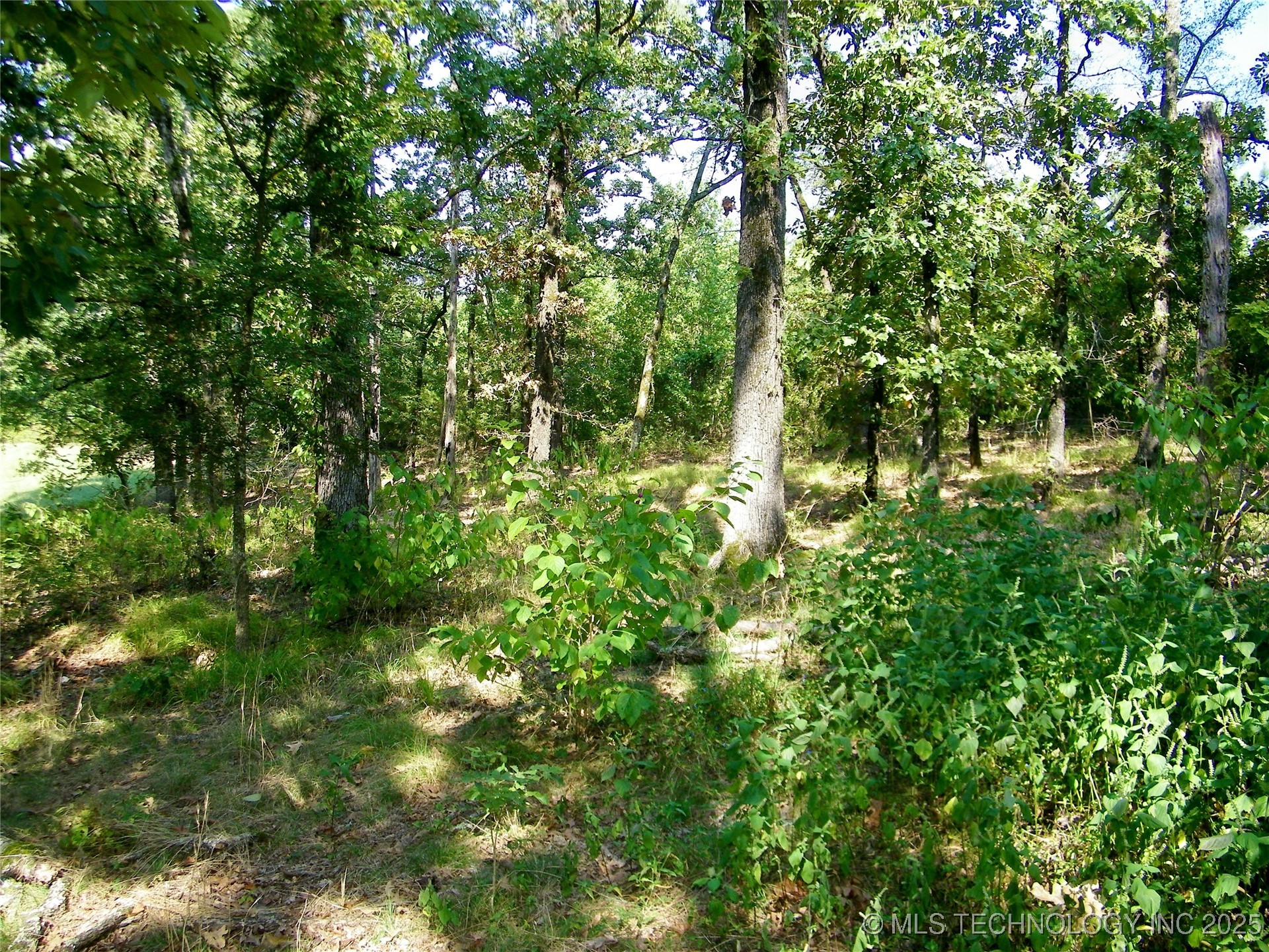 901 Sycamore Loop Property Photo 43