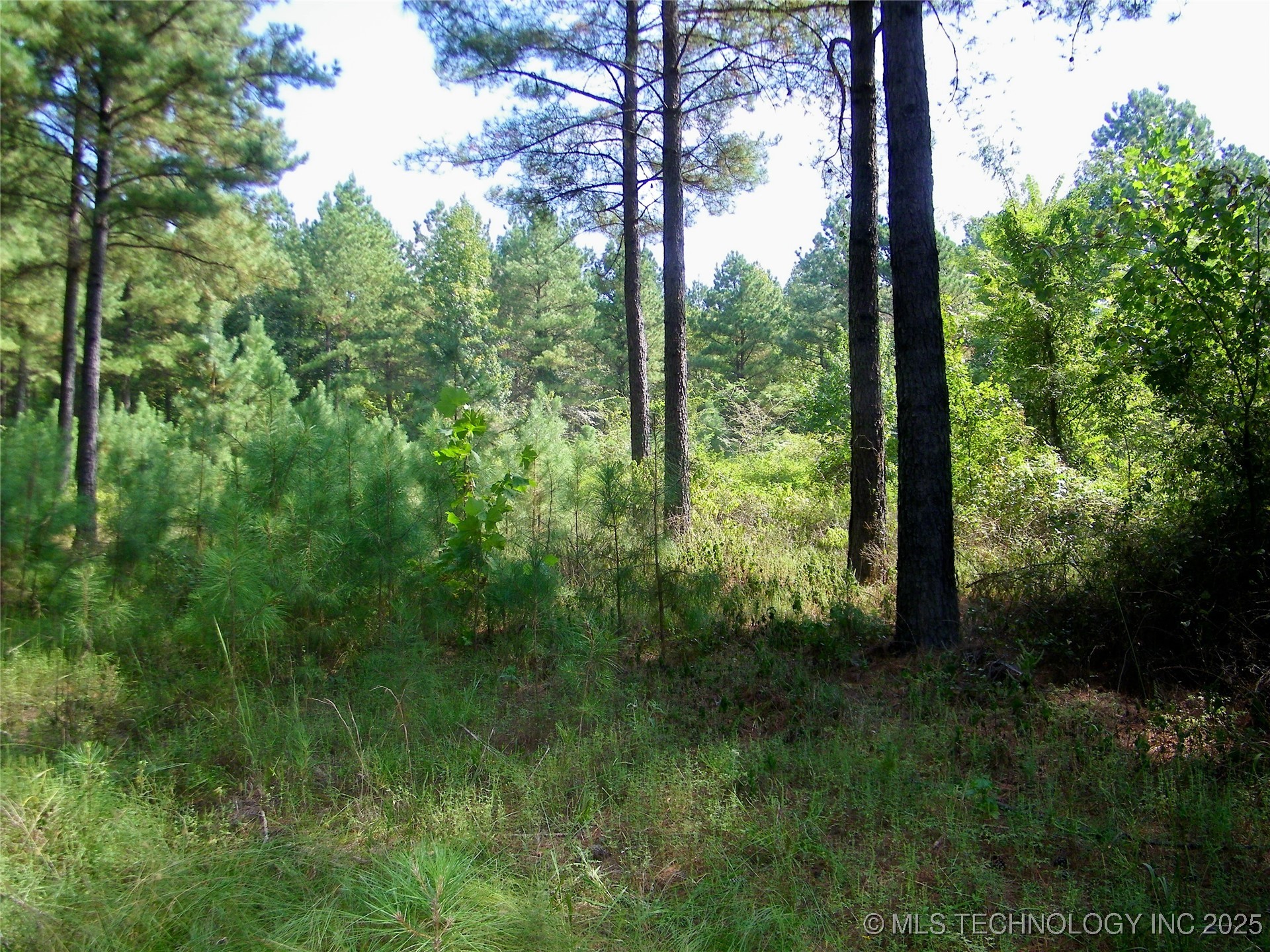 901 Sycamore Loop Property Photo 56