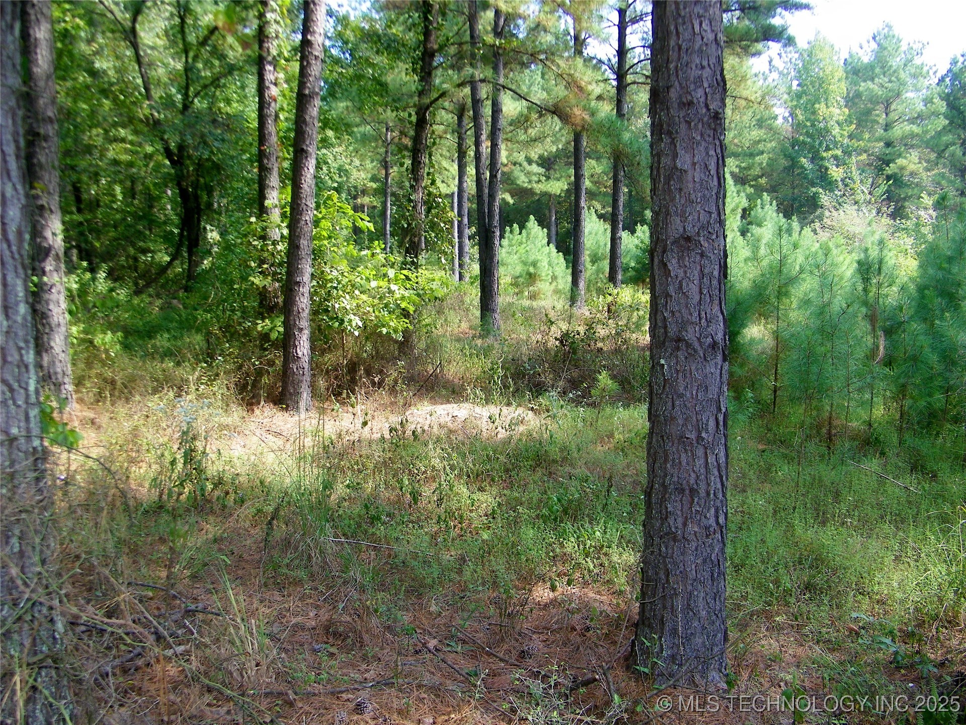 901 Sycamore Loop Property Photo 61