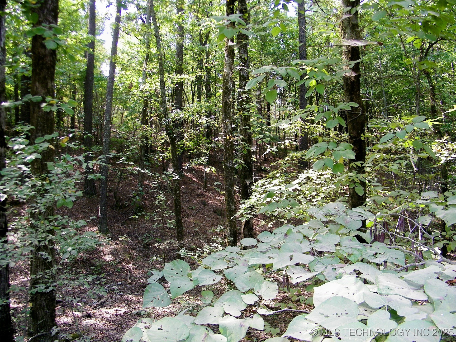 901 Sycamore Loop Property Photo 67