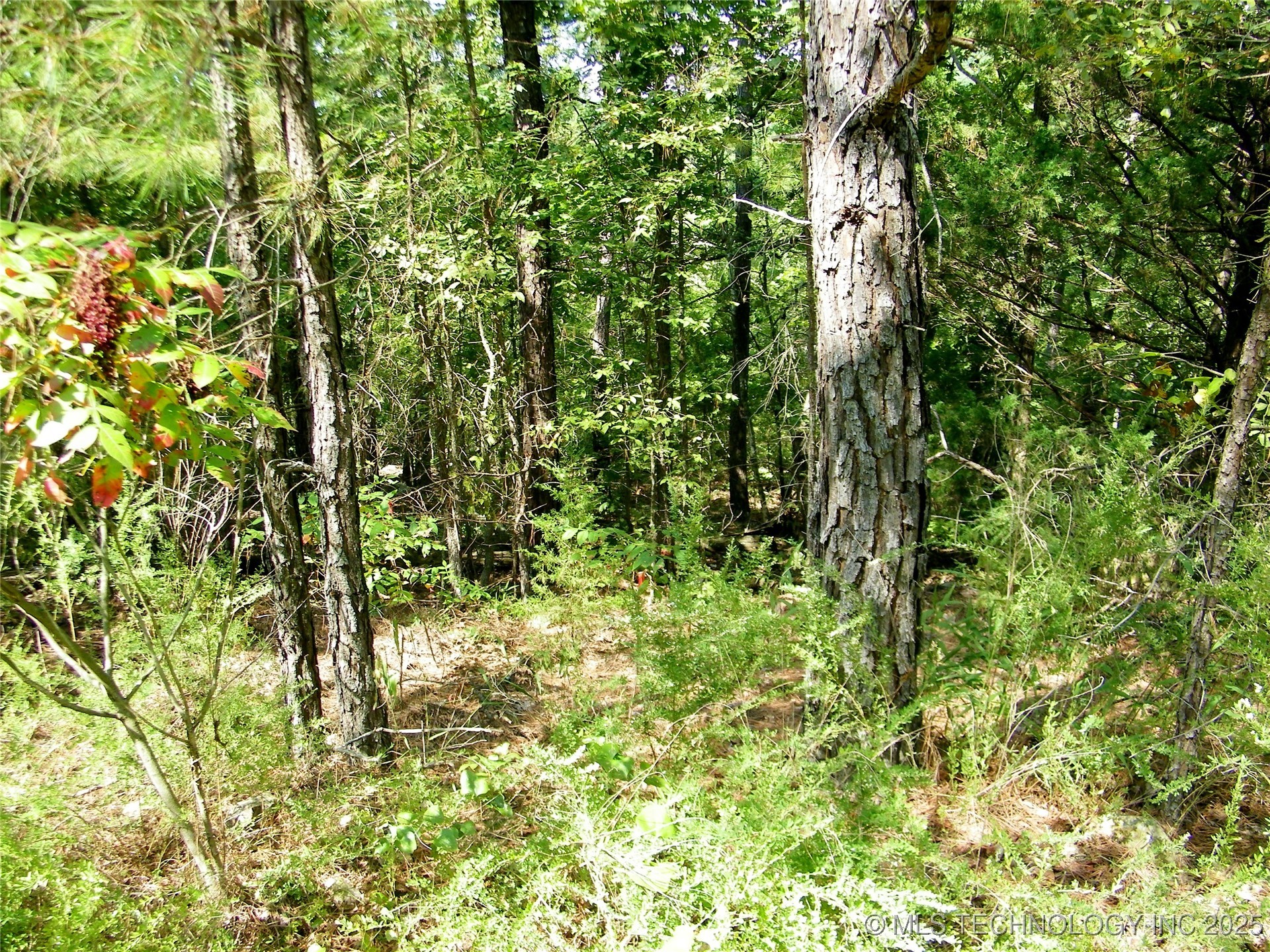 901 Sycamore Loop Property Photo 69