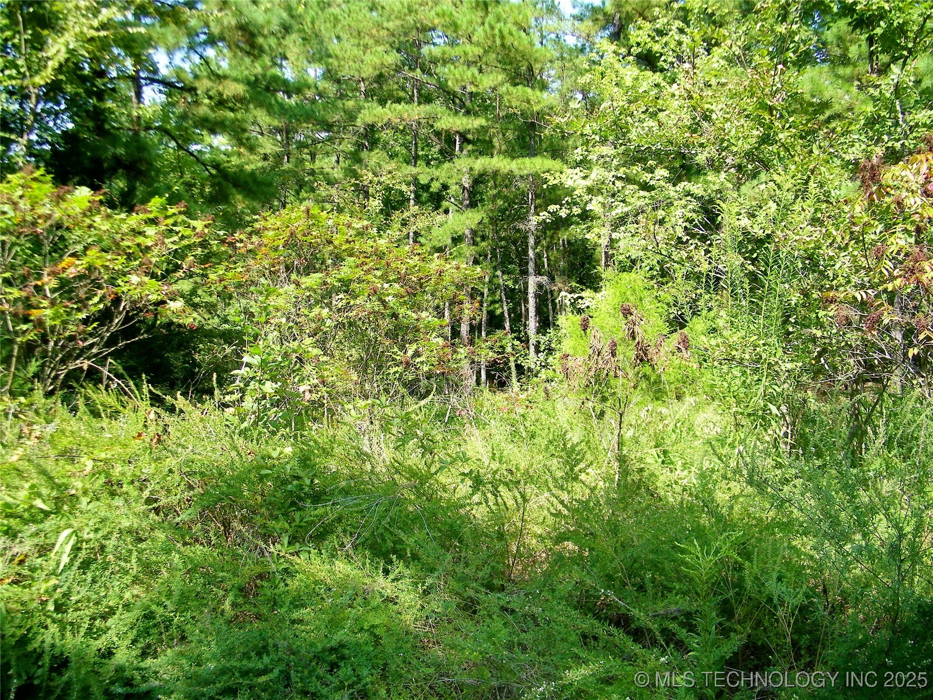 901 Sycamore Loop Property Photo 71