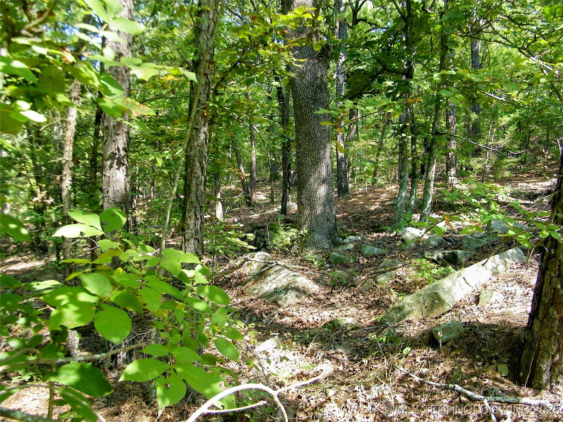 901 Sycamore Loop Property Photo 72