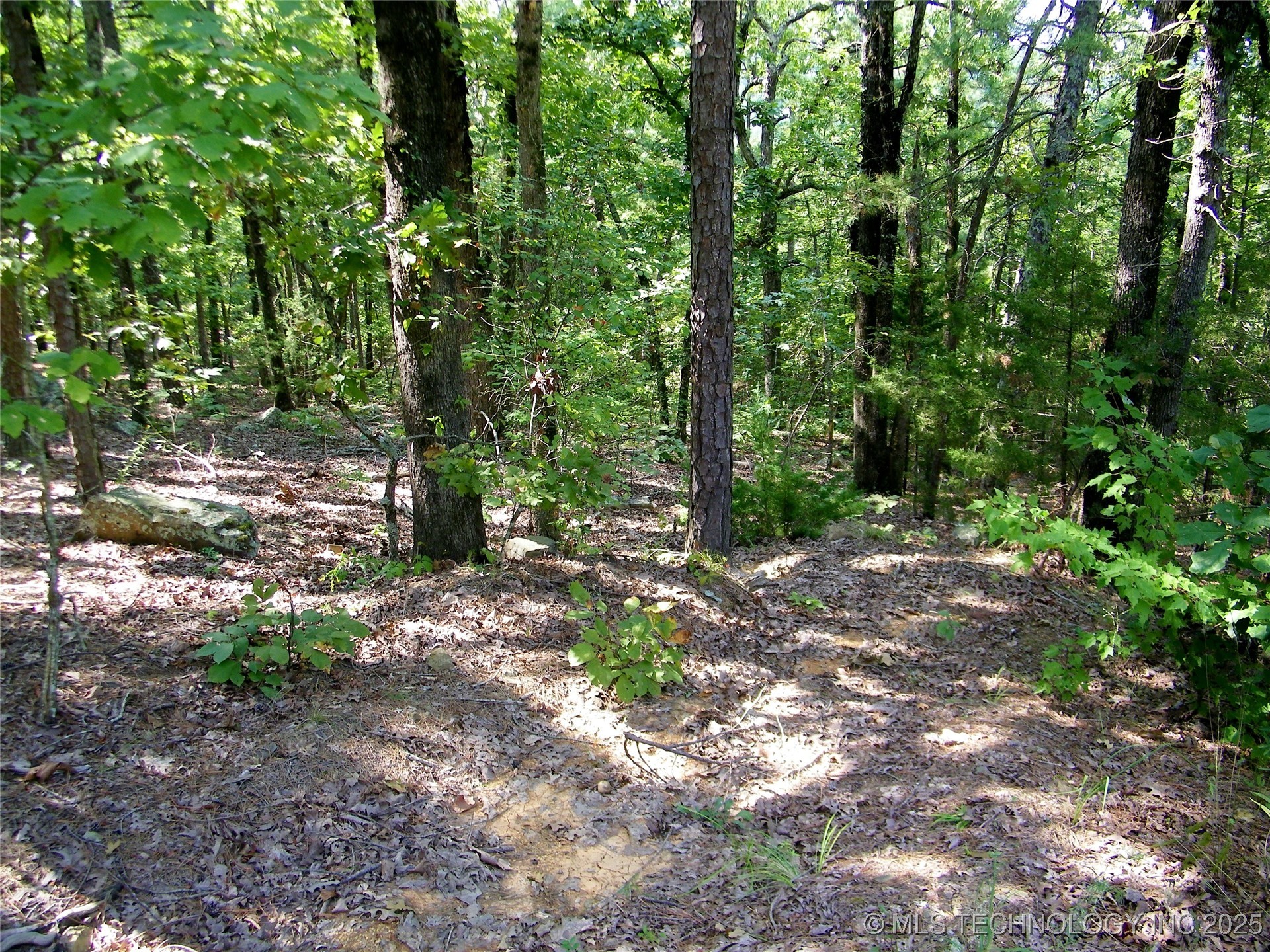 901 Sycamore Loop Property Photo 73