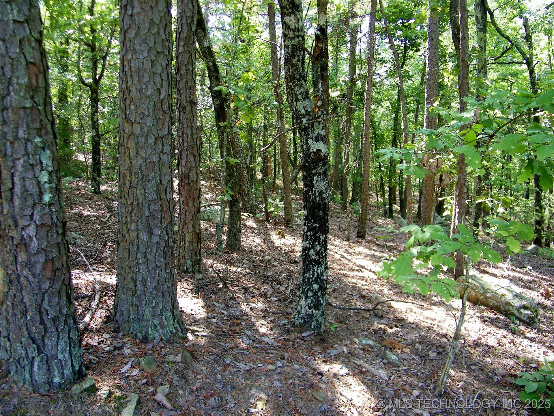 901 Sycamore Loop Property Photo 74
