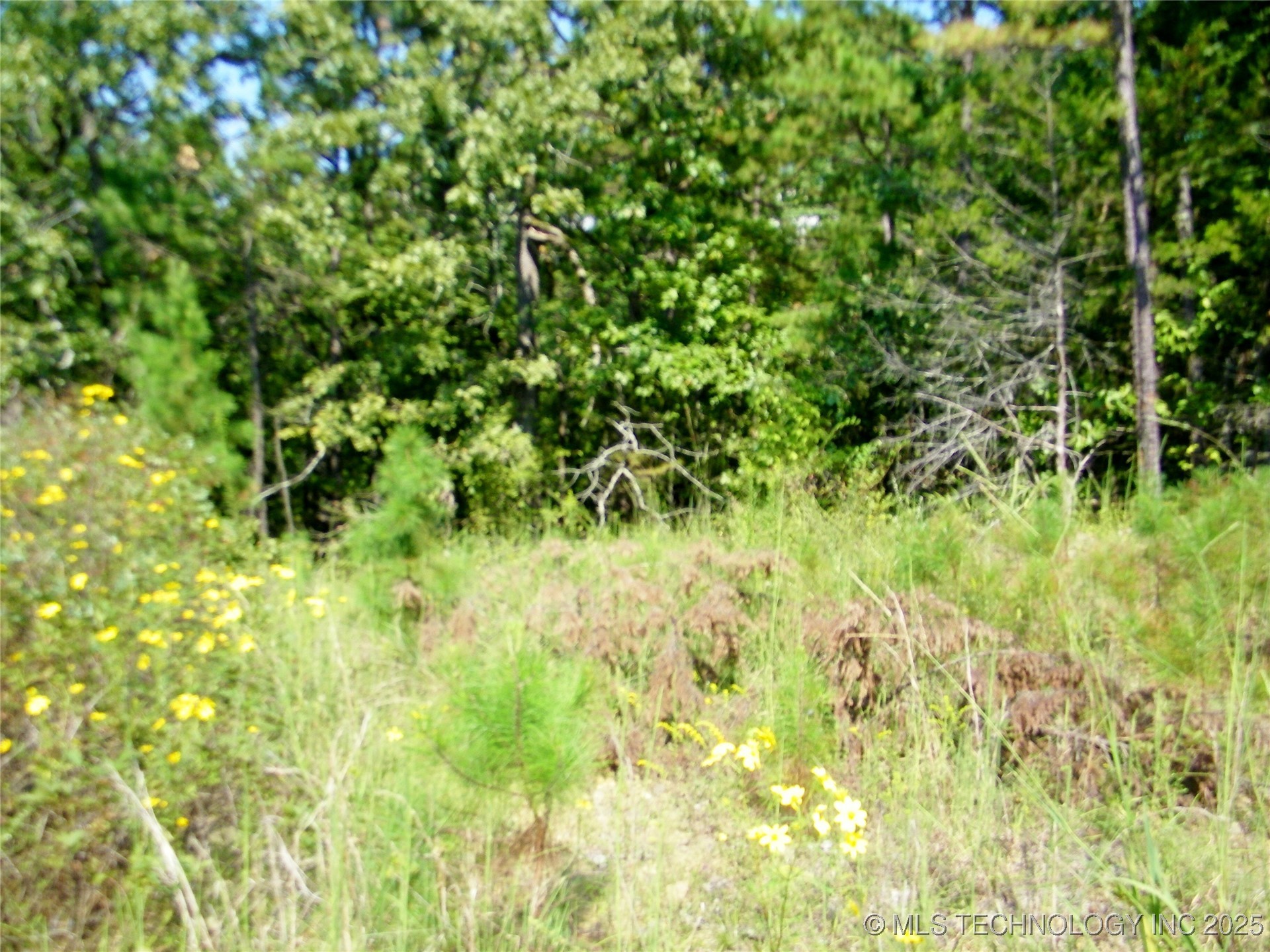 901 Sycamore Loop Property Photo 75