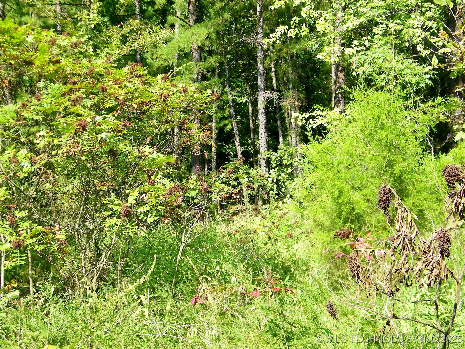901 Sycamore Loop Property Photo 82