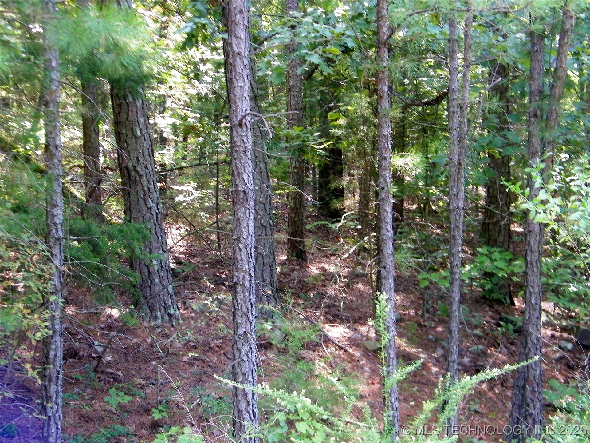 901 Sycamore Loop Property Photo 83