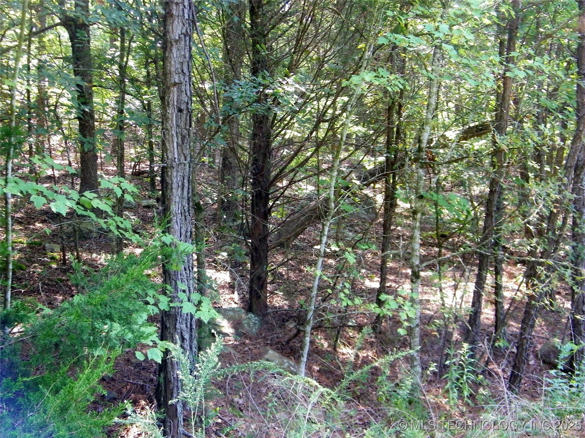 901 Sycamore Loop Property Photo 84
